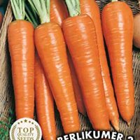 Germisem Berlikumer 2 Semillas De Zanahoria 10 G Ec9018 0