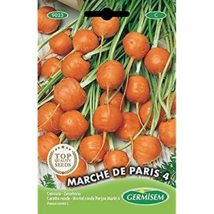 Germisem Marche De Paris 4 Semillas De Zanahoria 3 G 0