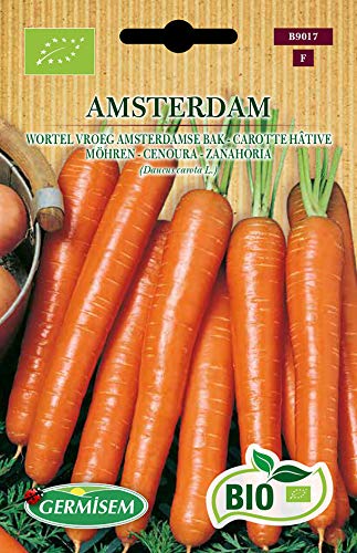 Germisem Organica Amsterdam Semillas De Zanahoria 4 G 0
