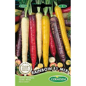 Germisem Rainbow F1 Mix Semillas De Zanahoria 1 G Ec9025 0