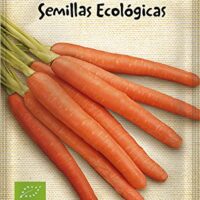 Semillas Ecologicas Horticolas Zanahoria Nantesa 5 Eco Batlle 0